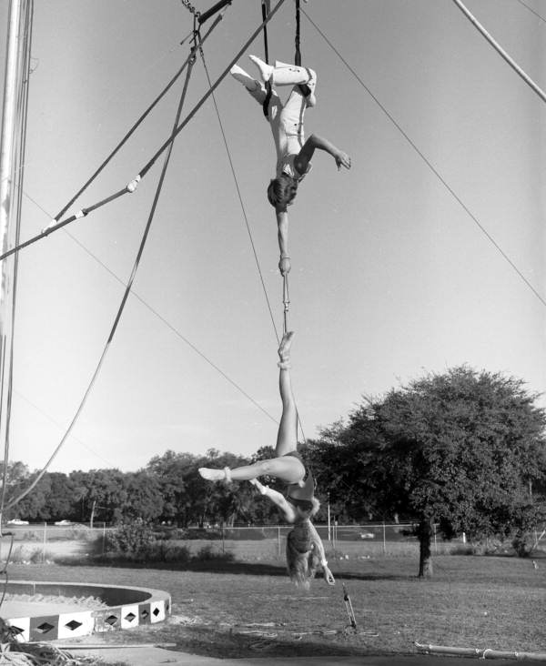 View showing young people on the trapeze at the Sarasota High School Sailor Circus.