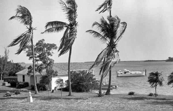 View showing boathouse at the Cabbage Key Inn & Studio.