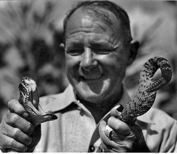 Texas Jim Mitchell holding a rattlesnake in Sarasota, Florida.