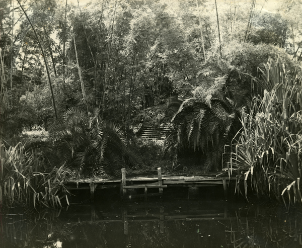 Bamboo Landing on Estero River.
