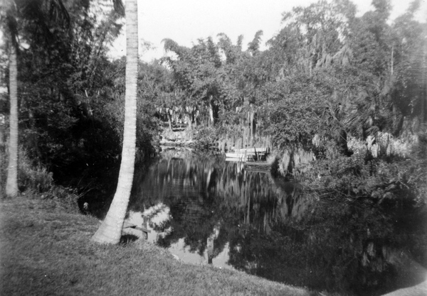 Docks down the Estero River.