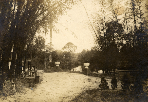 Bamboo Landing on Estero River.