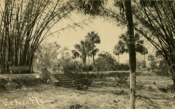 Bamboo Landing on the Estero River.