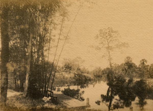 Bamboo Landing on Estero River.