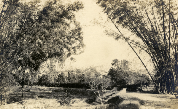 Postcard of Bamboo Landing on the Estero River.