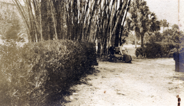 Garden path and bamboo at the Koreshan Unity landing on the Estero River.