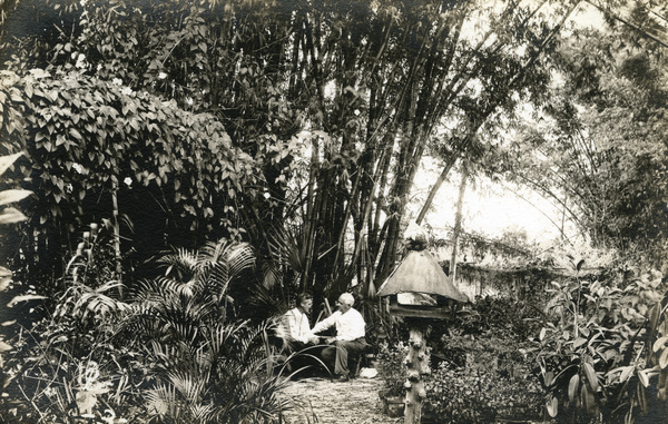Postcard showing two men talking by a stand of bamboo grass on Koreshan Unity property in Estero, Florida.