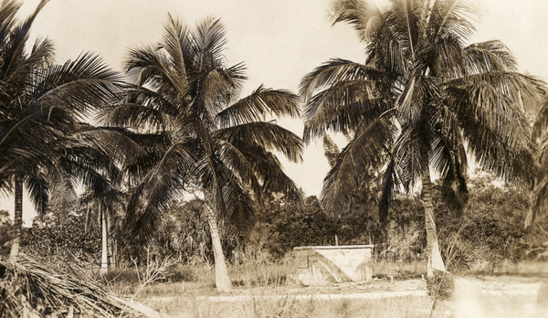 Postcard showing Dr. Teed's mausoleum and coconut trees at Ft. Myers Beach on Estero Island, Florida.