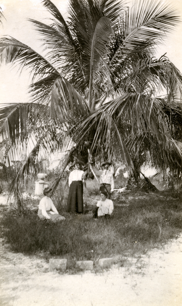 Koreshans beneath a palm tree at Fort Myers Beach on Estero Island, Florida.