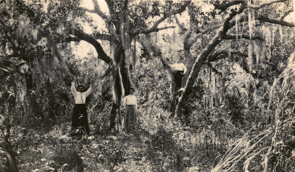 Koreshans at Fort Myers Beach on Estero Island, Florida.