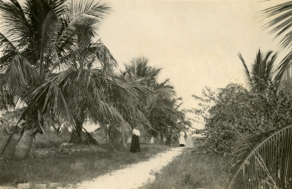 Koreshan members on a path at Fort Myers Beach on Estero Island, Florida.