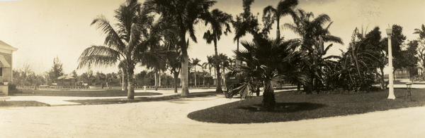 Palm lined streets in Everglades City, Florida.