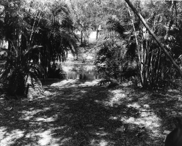 Bamboo Landing on Estero River at the Koreshan Historic State Site park.