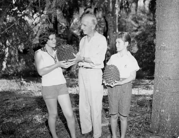 Koreshan Unity president Laurie Bubbett and girls with cones from a Monkey Puzzle tree (Araucaria araucana).