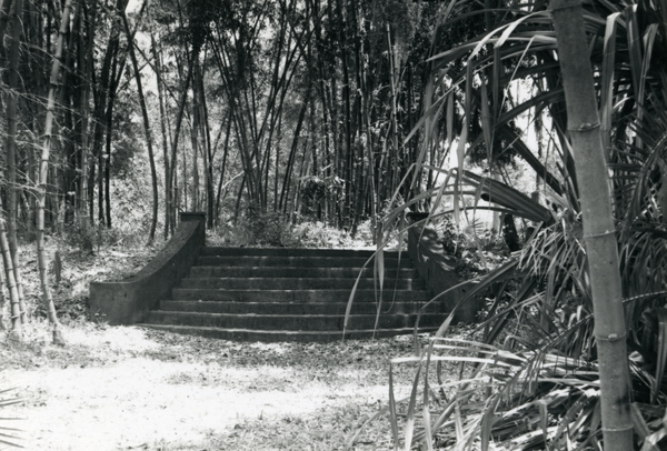 Bamboo Landing on Estero River.