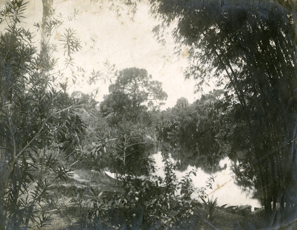 Scenic view of the Estero River at Bamboo Landing.