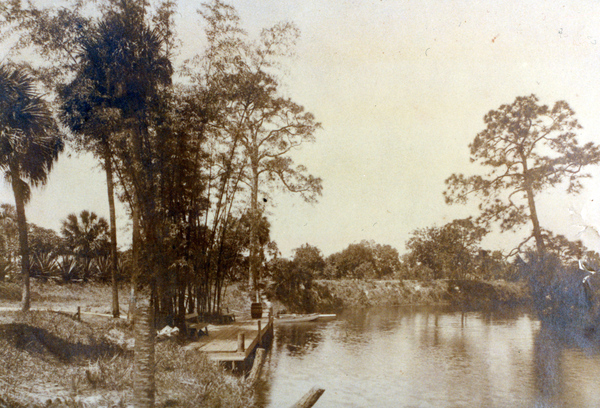 Bamboo Landing on the Estero River.