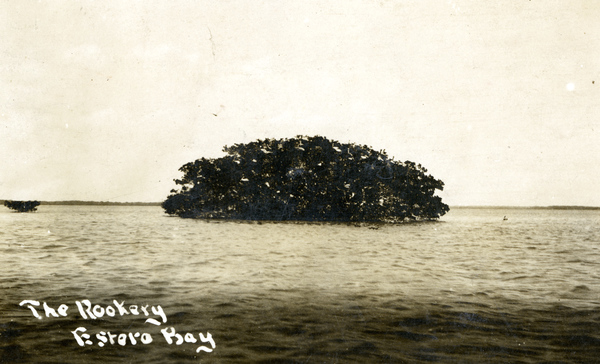 Postcard of The Rookery in Estero Bay.