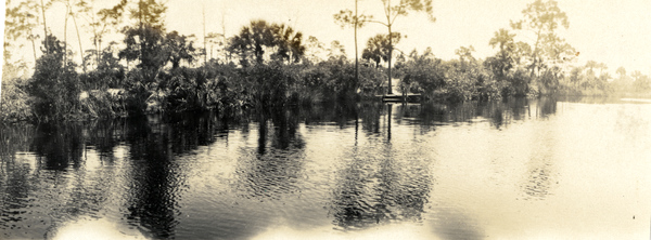 Scenic view at a horseshoe bend in the Estero River.
