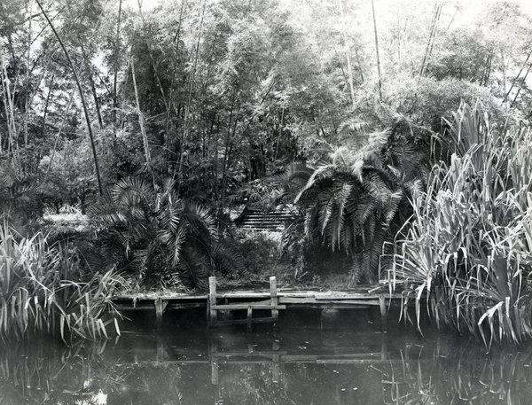 Bamboo Landing on the Estero River.