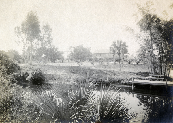 Bamboo Landing on the Estero River.