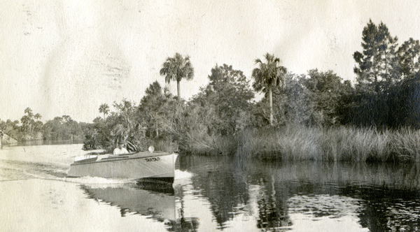 "Tartar" on the Estero River.