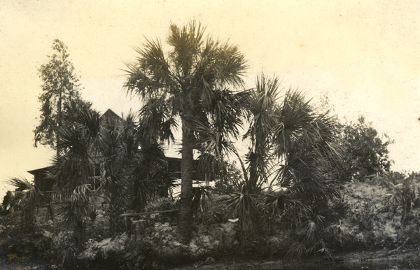 Koreshan Unity's medical cottage behind trees in Estero, Florida.