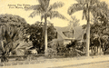 Among the palms, Fort Myers, Fla.