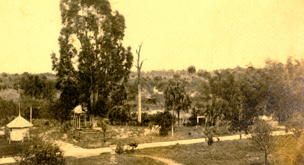 Bird's eye view overlooking the Koreshan Unity grounds in Estero, Florida.