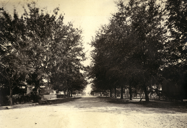 Dirt road in Arcadia, Florida.
