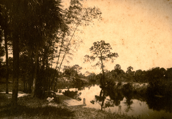 Bamboo Landing on Estero River.