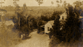 Bird's eye view showing unidentified Koreshan Unity buildings in Estero, Florida.