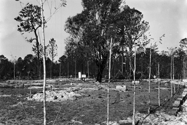 Koreshan Unity cemetery in Estero, Florida.