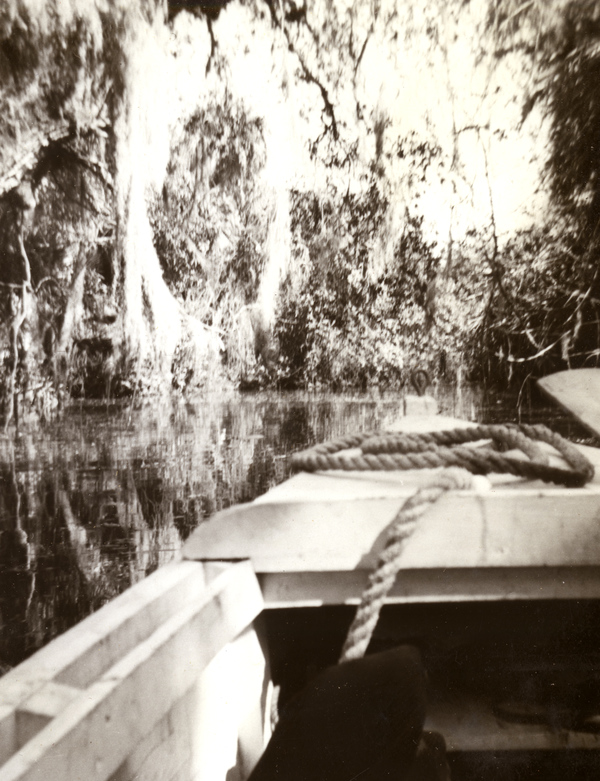 Scenic view looking up the Estero River.