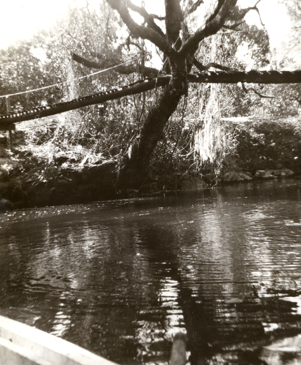 Footbridge through tree and over the Estero River.