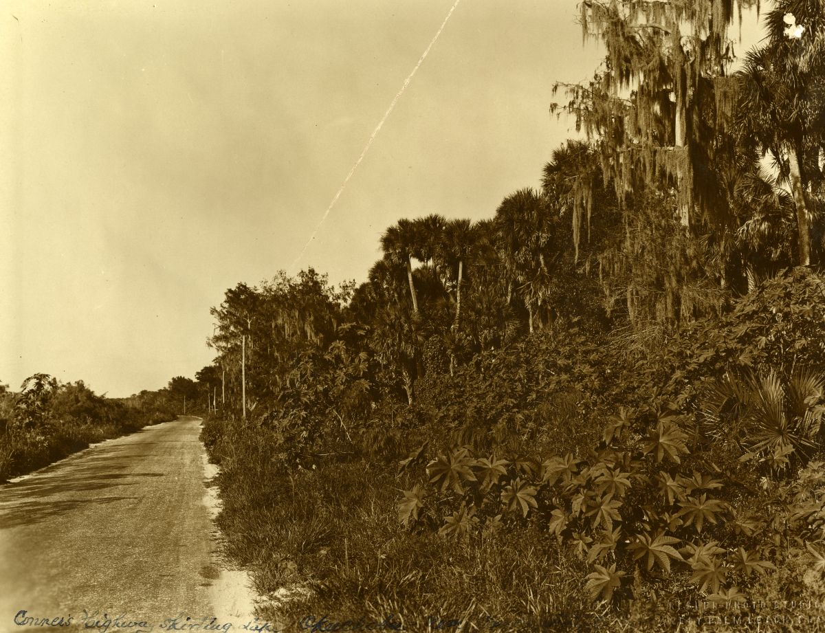 Conner's Highway skirting Lake Okeechobee near Canal Point.