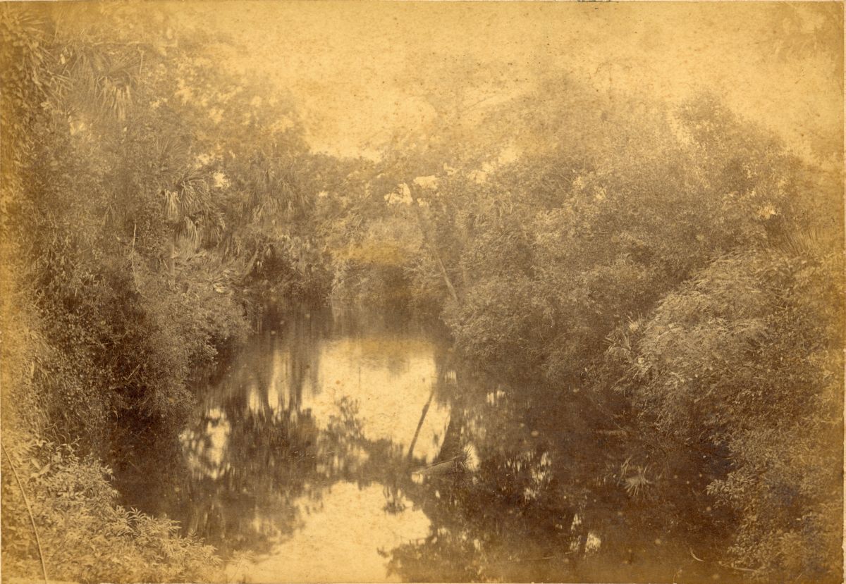 Scenic view of the St. Sebastian River.