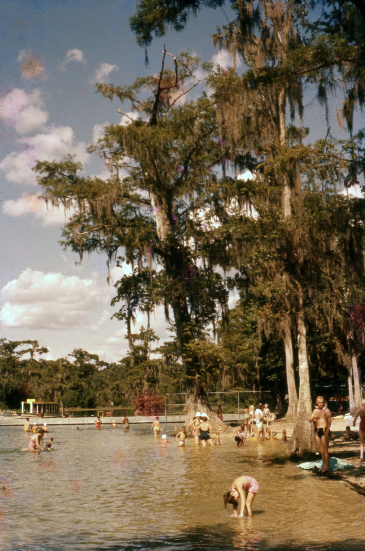 Scene at Wakulla Springs.
