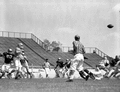 FSU "Garnet and Gold" game in Tallahassee, Florida.