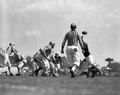 FSU "Garnet and Gold" game in Tallahassee, Florida.