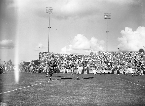 FSU football game against the College of William & Mary in Tallahassee.