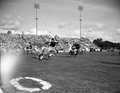FSU football game against the College of William & Mary in Tallahassee.