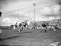 FSU football game against the College of William & Mary in Tallahassee.