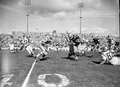 FSU football game against the College of William & Mary in Tallahassee.