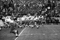 FSU QB Eddie Feely handing the ball off to HB Keith Kinderman during football game in Tallahassee against the University of Houston.