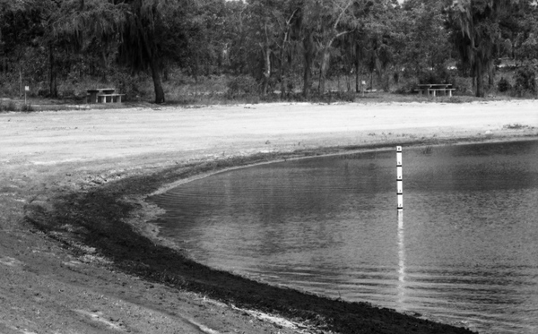 Lost Lake recreation area in the Apalachicola National Forest.