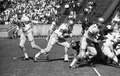 FSU FB #40 Lee Narramore running the football during game in Tallahassee against the University of Kentucky.