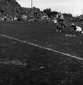 FSU #81 Don Floyd being tackled by Allen Trammell during football game in Tallahassee against UF.