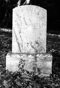 Close-up view of Ellen Call Long gravestone at the Grove Cemetery in Tallahassee.