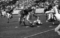 FSU "Garnet and Gold" spring football game in Tallahassee.